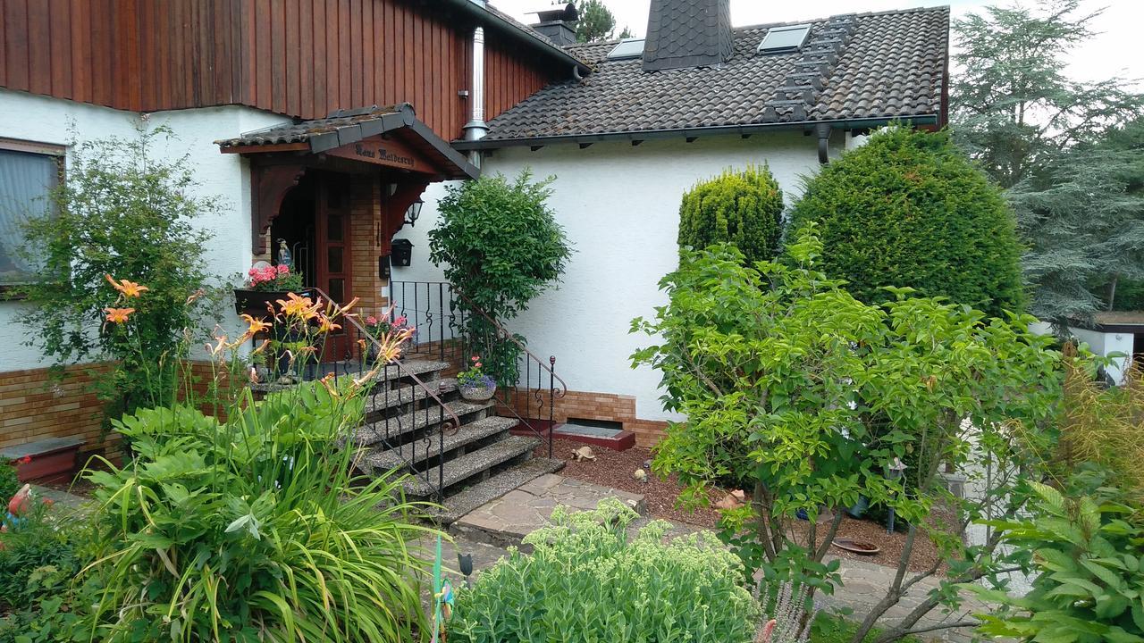 Haus Waldesruh, 3 Ferienwohnungen Hemfurth-Edersee Extérieur photo